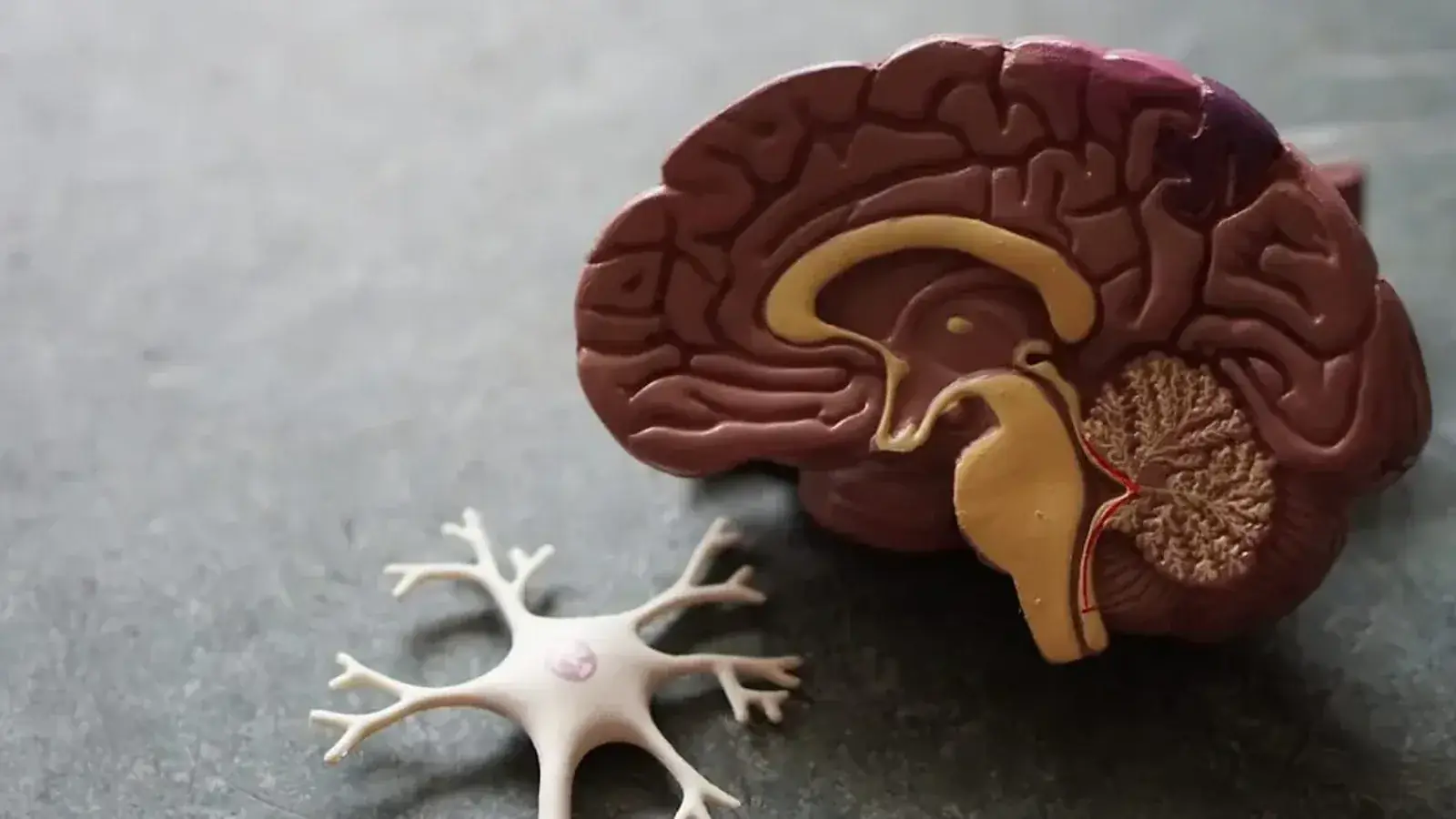 Mental Health article: Why You Can't Stop Overthinking (and How to Break the Loop)